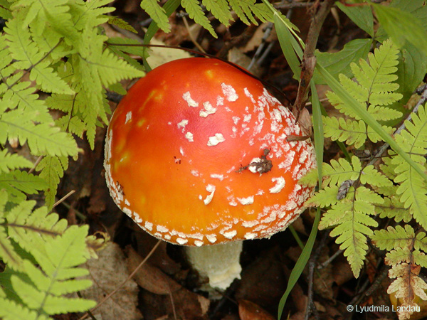 P8250200